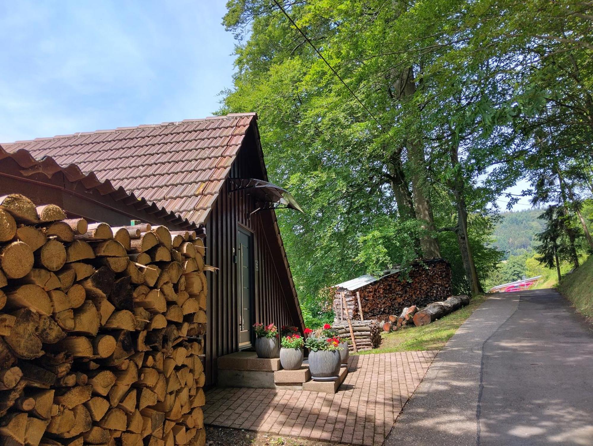 Апартаменти Haus "Guck - Ins - Tal" Засбахвальден Екстер'єр фото